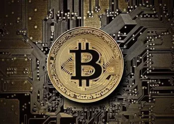 What Are The Main Differences Between Digital Currency and Cryptocurrency