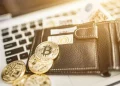 Which are The Best Crypto Wallets?